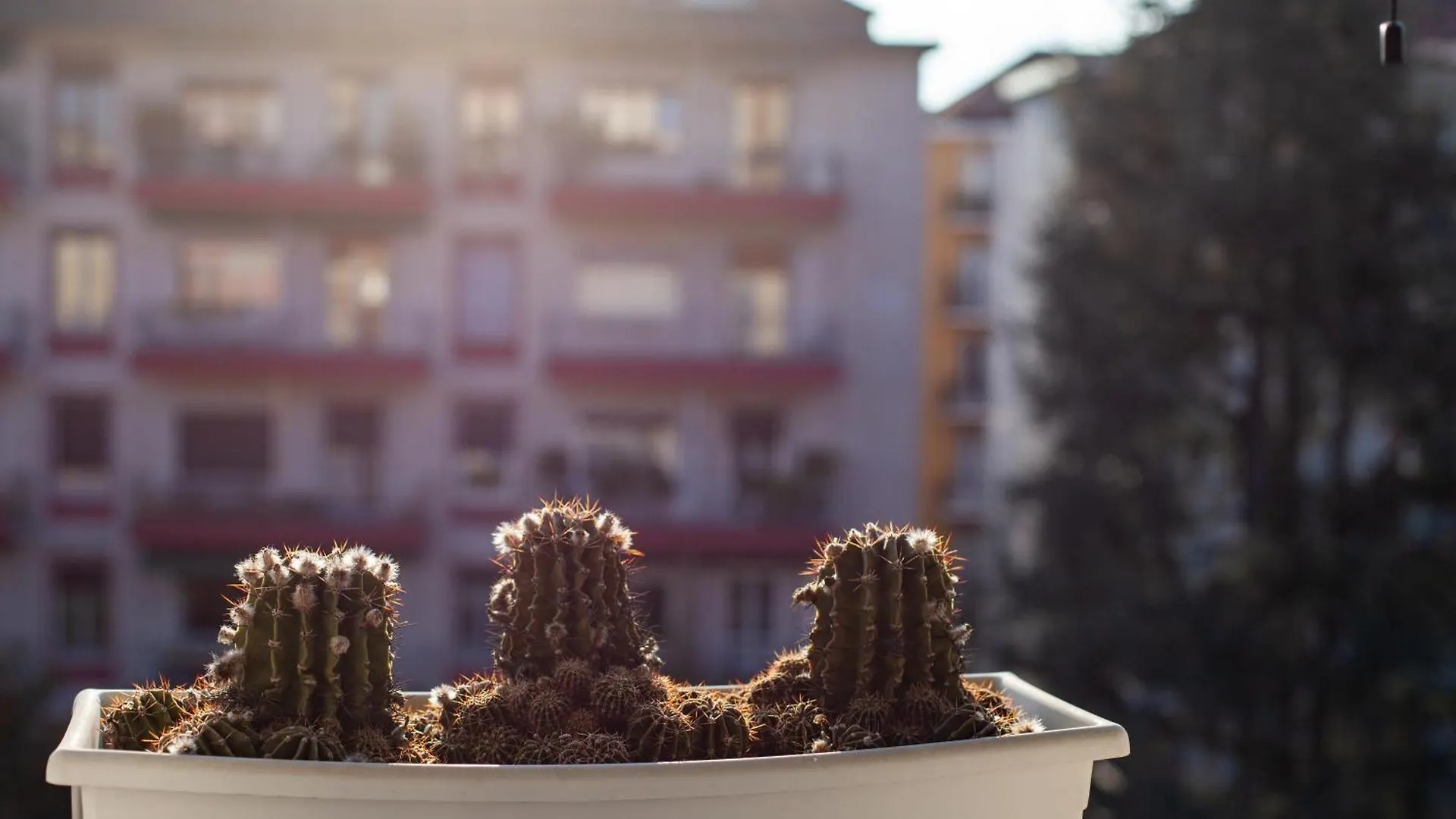 Iconic Luxury Penthouse In The Heart Of Milanアパートメント 0*, ミラノ イタリア